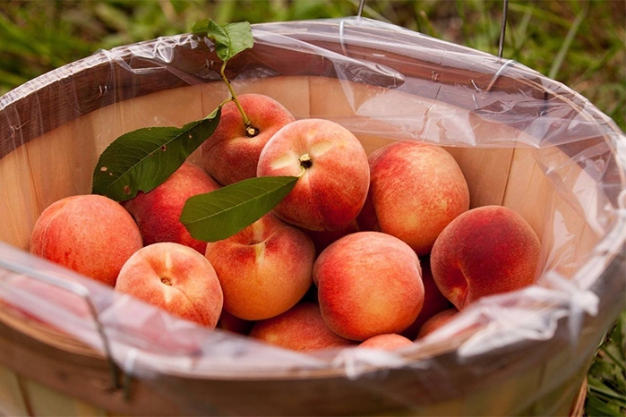 Cách chọn đào để ngâm rượu