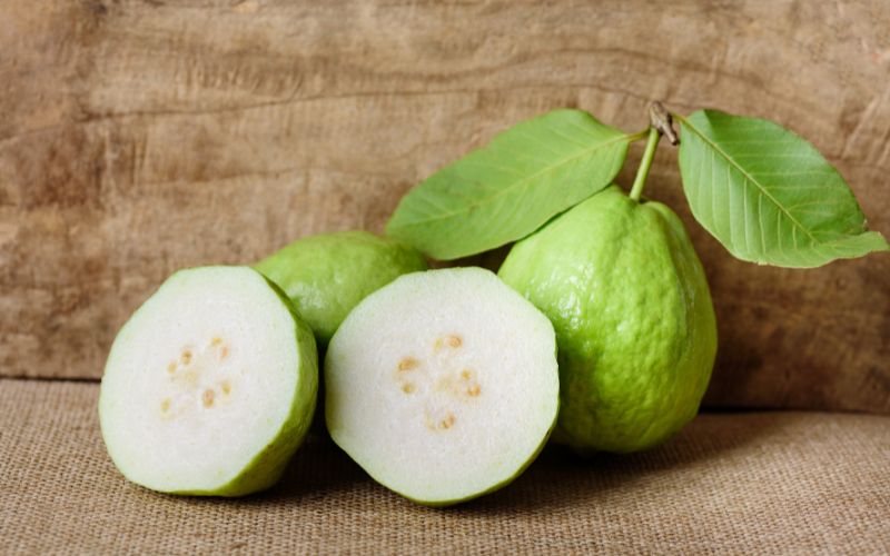 Rượu ổi có nhiều công dụng tốt cho sức khoẻ 