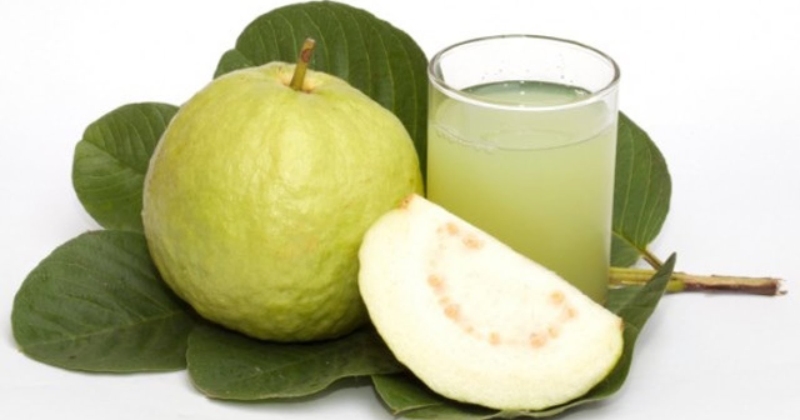 Rượu ổi: Cách ngâm, thời gian ủ và hương vị đặc trưng của rượu ổi